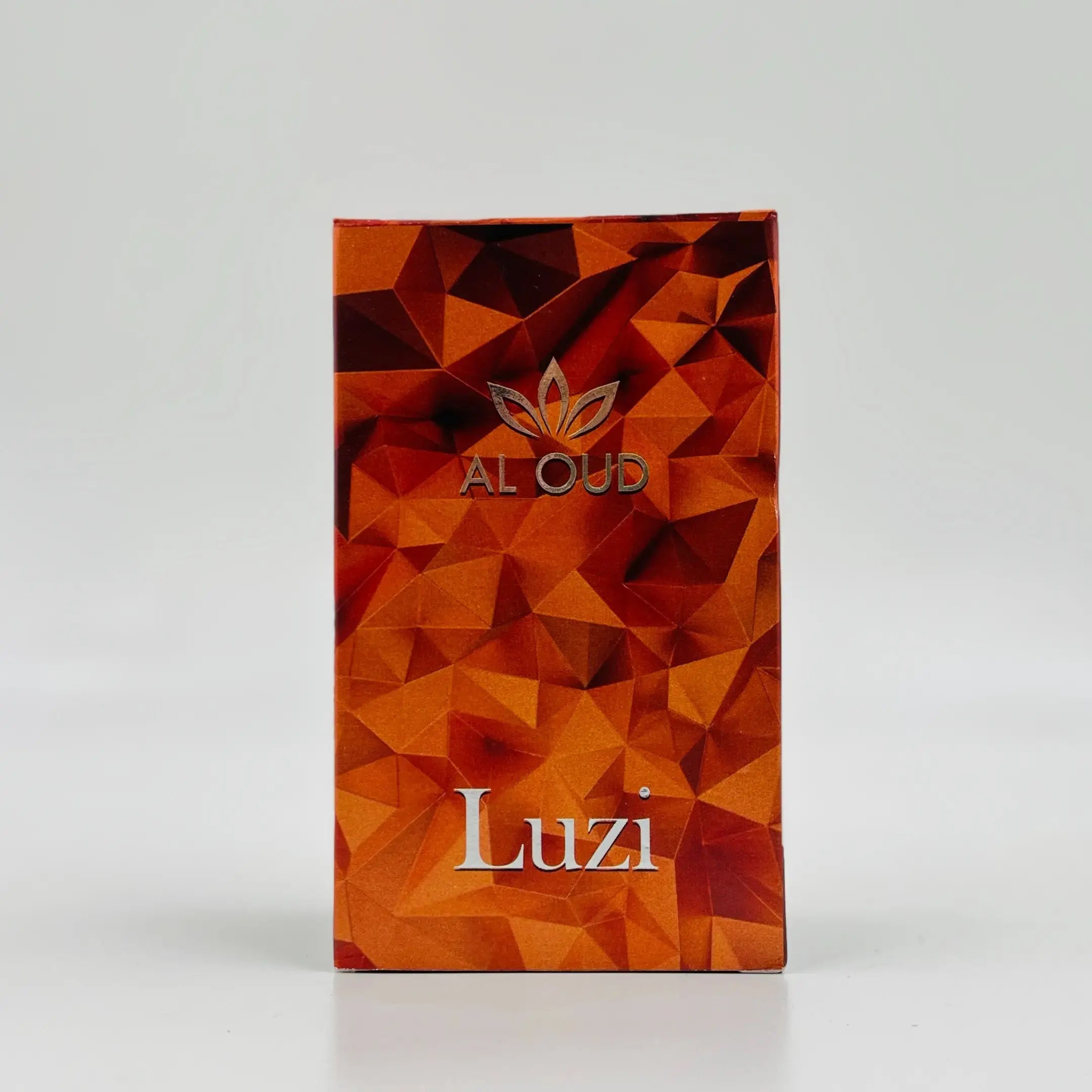AL OUD LUZI